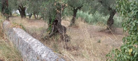  قطعة أرض في Zakynthos, Greece رقم 535 15