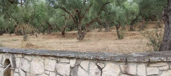  قطعة أرض في Zakynthos, Greece رقم 535 4