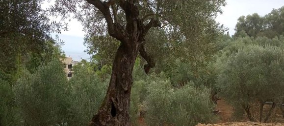 قطعة أرض في Zakynthos, Greece رقم 535 6