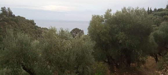  قطعة أرض في Zakynthos, Greece رقم 535 16
