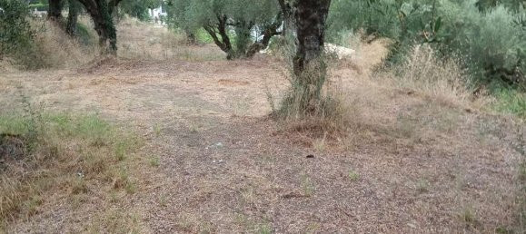  قطعة أرض في Zakynthos, Greece رقم 535 3