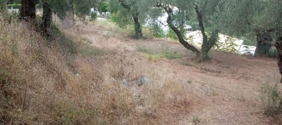  قطعة أرض في Zakynthos, Greece رقم 535 5