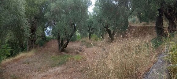  قطعة أرض في Zakynthos, Greece رقم 535 7