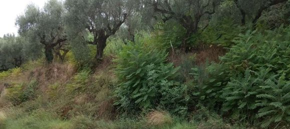  قطعة أرض في Zakynthos, Greece رقم 535 10