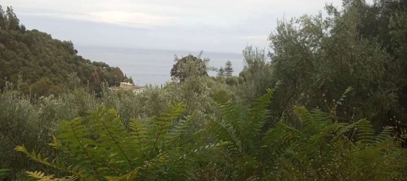  قطعة أرض في Zakynthos, Greece رقم 535 12