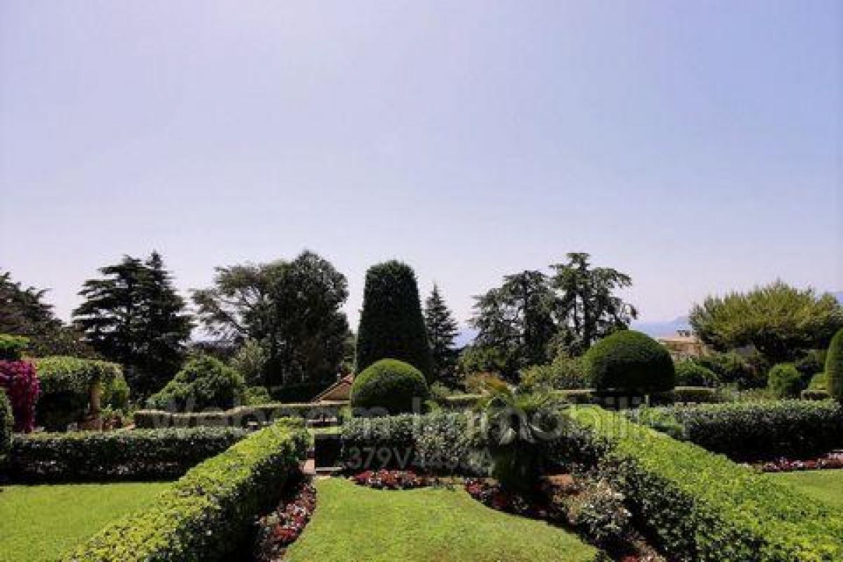 Studio-Eigentumswohnung in Cannes, France, Nr. 13792