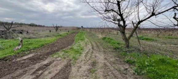 11257m² Land in Canosa di Puglia, Italy No. 328178 11