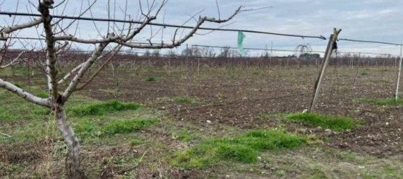 11257m² Land in Canosa di Puglia, Italy No. 328178 3