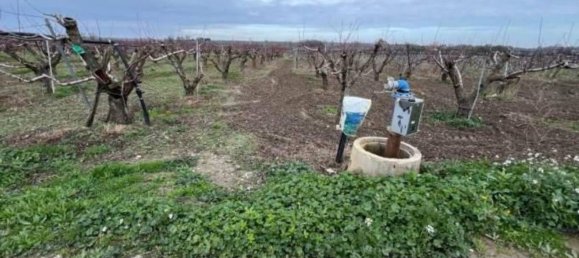 11257m² Land in Canosa di Puglia, Italy No. 328178 6