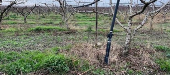 11257m² Land in Canosa di Puglia, Italy No. 328178 2