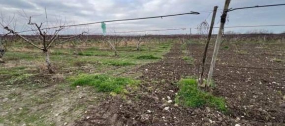 11257m² Land in Canosa di Puglia, Italy No. 328178 4