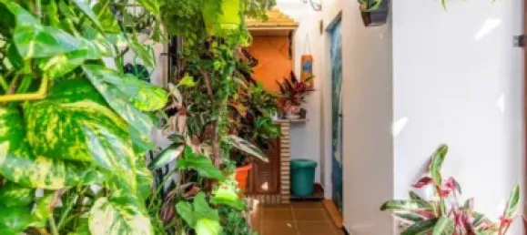 4 غرف نوم تاون هاوس في La Barrosa, Spain رقم 166941 5