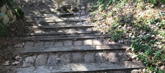 Дом с 8 комнатами в Пезаро э Урбино, Италия № 75565 44