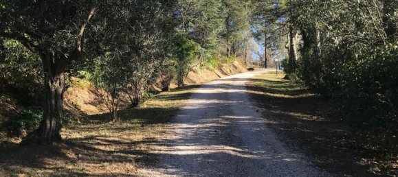 Дом с 8 комнатами в Пезаро э Урбино, Италия № 75565 42