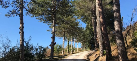 Дом с 8 комнатами в Пезаро э Урбино, Италия № 75565 46