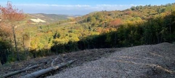 Terrain à Trezzo Tinella, Italy 5300m² No. 174077 3