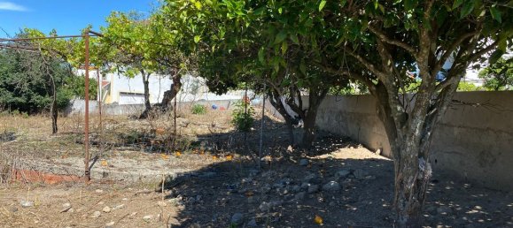 Grundstück in Portalegre, Portugal 285m², Nr. 90331 3