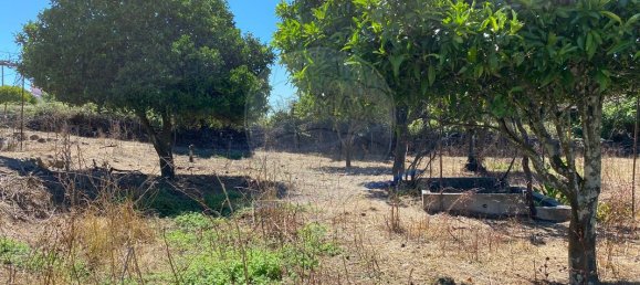 Grundstück in Portalegre, Portugal 285m², Nr. 90331 8