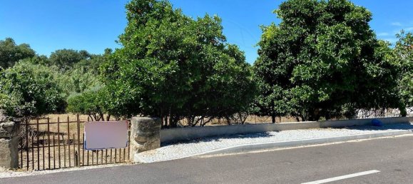 Grundstück in Portalegre, Portugal 285m², Nr. 90331 12