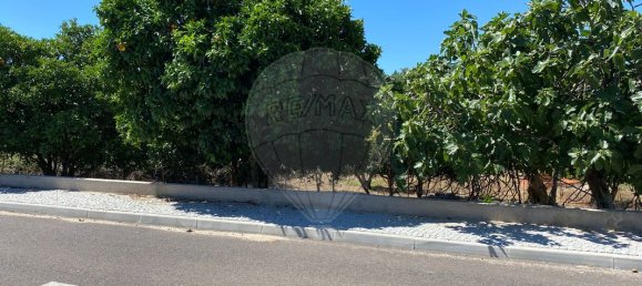 Grundstück in Portalegre, Portugal 285m², Nr. 90331 2