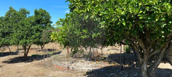 Grundstück in Portalegre, Portugal 285m², Nr. 90331 4