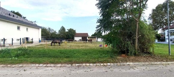  Land in Gols, Austria No. 261764 2