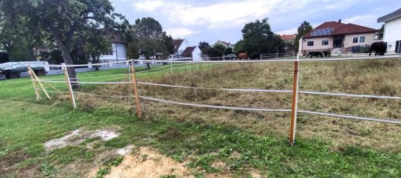  Land in Gols, Austria No. 261764 3