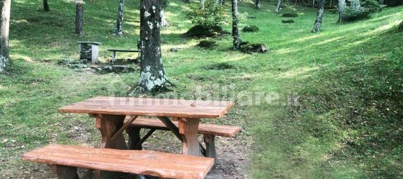 2 bedrooms House in Trarego Viggiona, Italy No. 50763 19