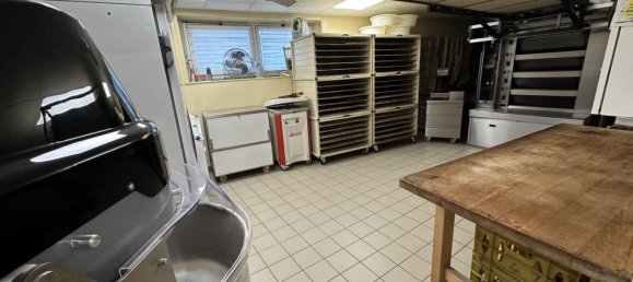 Propriété commerciale à Lerrain, France 300m² No. 155519 3