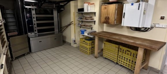 Propriété commerciale à Lerrain, France 300m² No. 155519 6