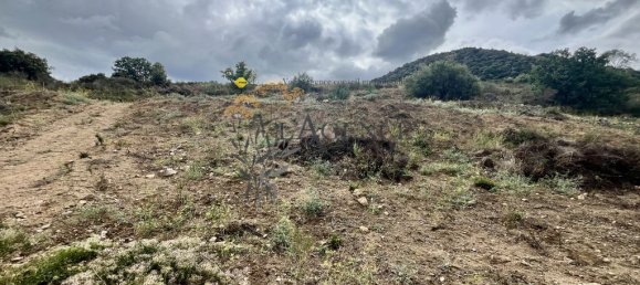 Земельный участок в Монтичелло, Франция № 81686 2