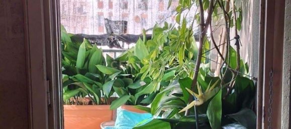 4 bedrooms Commercial property in Sabadell, Spain No. 188412 16