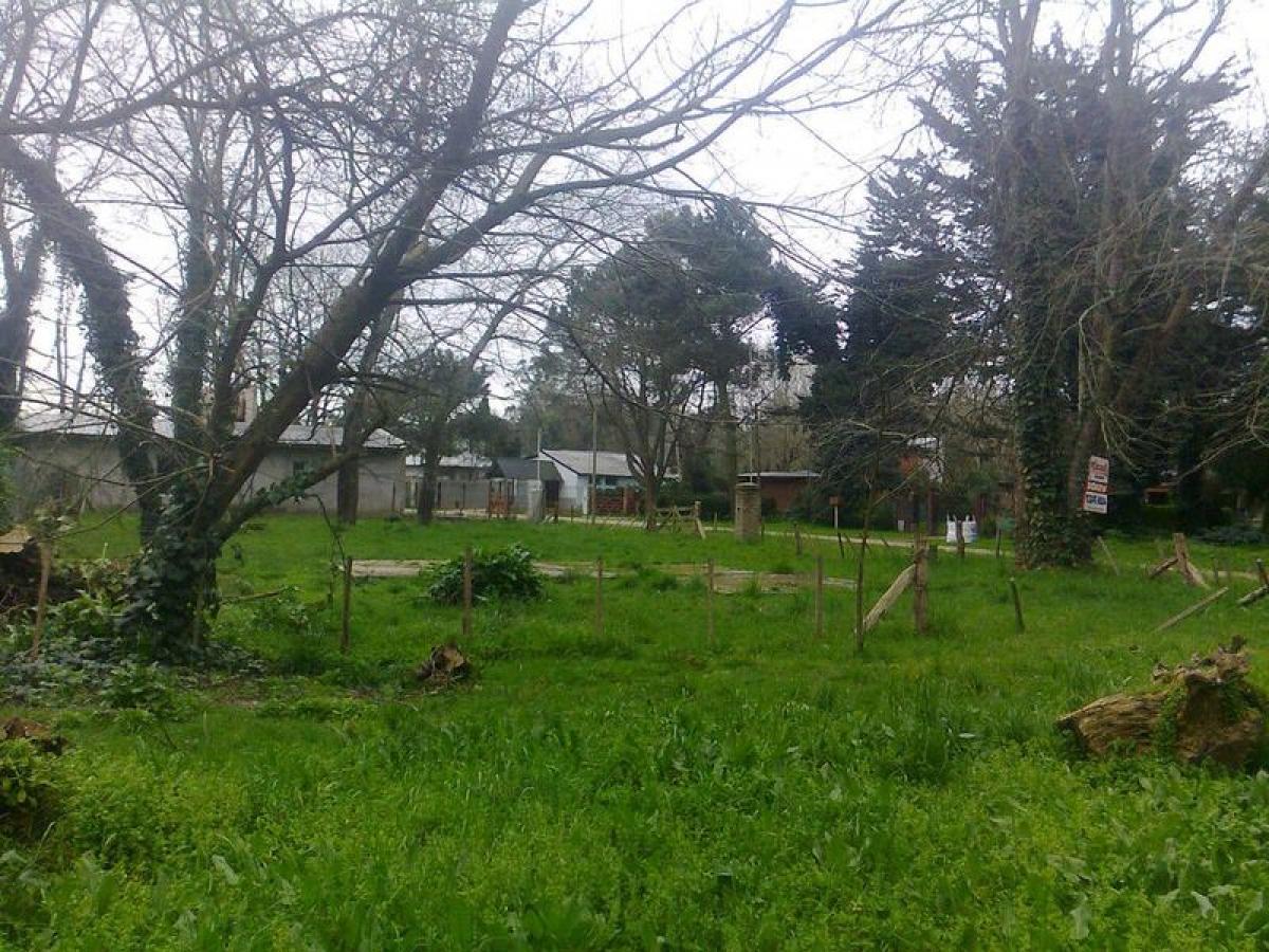 Terreno en Mar del Plata, Argentina No. 119980