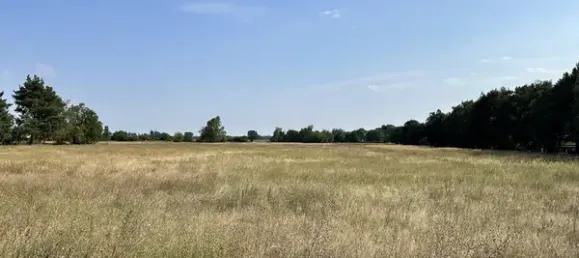 Terrain à Markisch-Oderland, Germany No. 82541 2