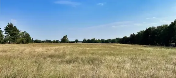 Terrain à Markisch-Oderland, Germany No. 82541 4