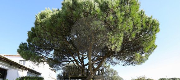 8 غرف نوم منزل في Sintra, Portugal رقم 168490 43