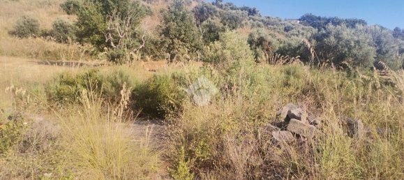 قطعة أرض في Grisolia, Italy 6000متر مربع رقم 118334 9