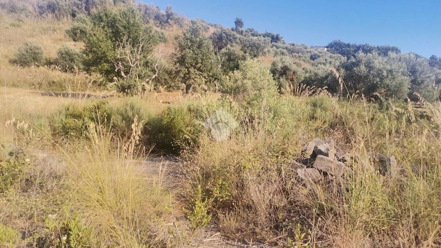  قطعة أرض في Grisolia, Italy 6000متر مربع رقم 118334