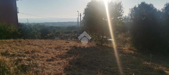 قطعة أرض في Grisolia, Italy 6000متر مربع رقم 118334 10