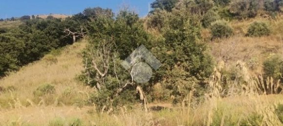 قطعة أرض في Grisolia, Italy 6000متر مربع رقم 118334 8