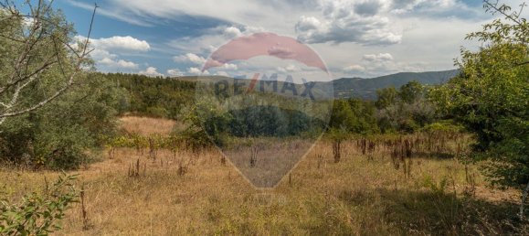 1 bedroom House in Serpins, Portugal No. 172688 12