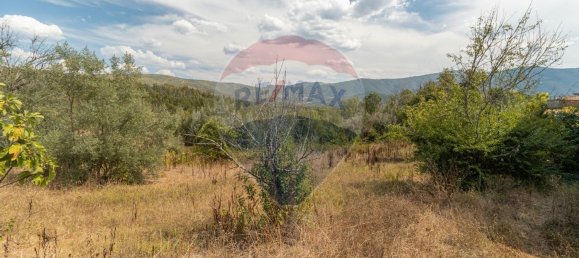 1 bedroom House in Serpins, Portugal No. 172688 10