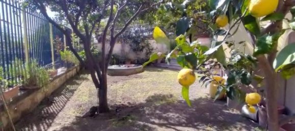 Дом с 17 комнатами в Оттавьяно, Италия № 17464 23