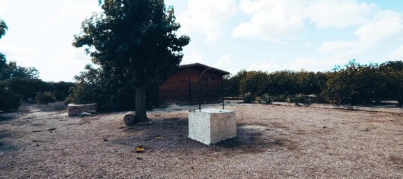 4 bedrooms House in Daya Nueva, Spain No. 13573 30