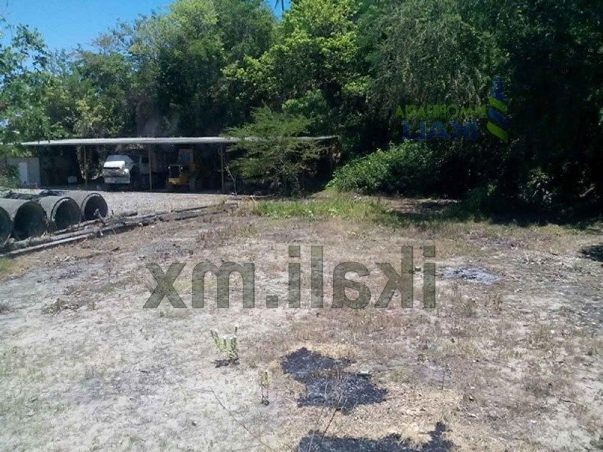 Grundstück in Veracruz, Mexico, Nr. 205455