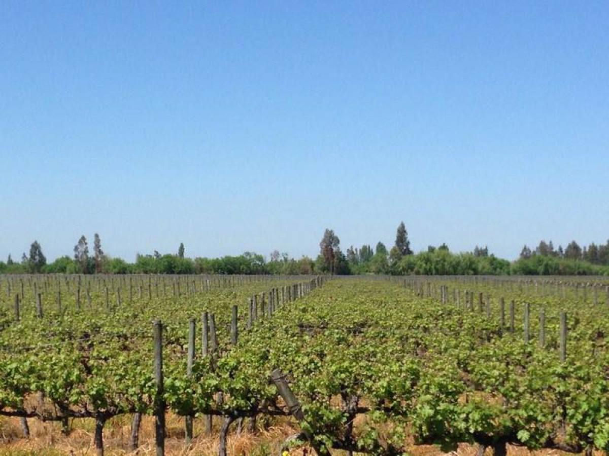  Land in Villa O'Higgins, Chile No. 733