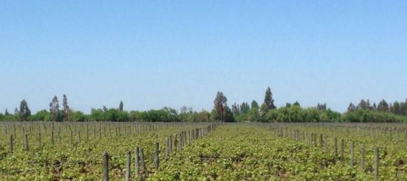  Land in Villa O'Higgins, Chile No. 733 2