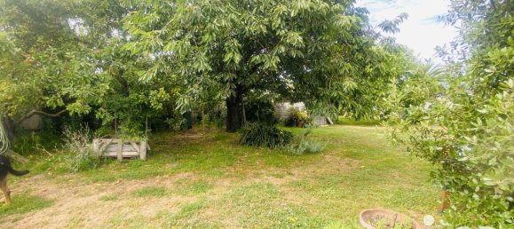 3 chambres Maison à Saint-Pierre-d'Oléron, France No. 102520 16