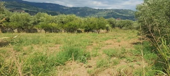 2210m² Land in Lamezia Terme, Italy No. 40142 3