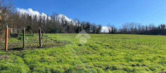 3 Schlafzimmer Haus in Dogliani, Italy, Nr. 60548 4